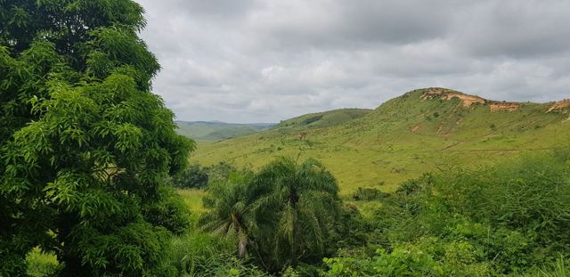 Rolling green hills and forest in the west of the DRC.