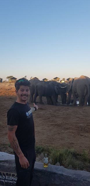 A man pointing at a herd of elephants drinking at a waterhole at dusk.
