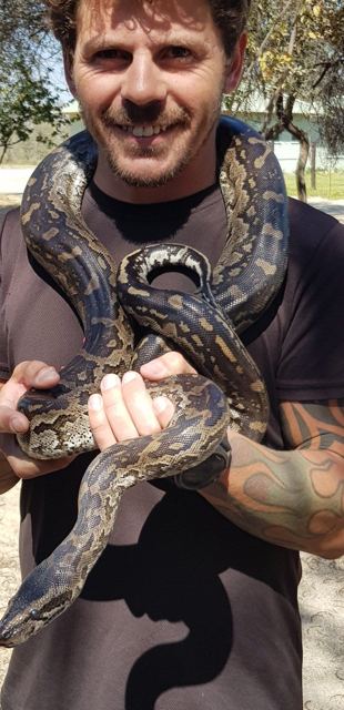 A man with a large python draped around his neck and hands.
