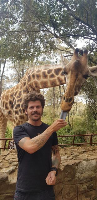 A man feeding a giraffe from his hand at the Giraffe Centre.