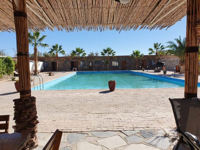 A long swimming pool seen from under a reed shade with palm trees around.
