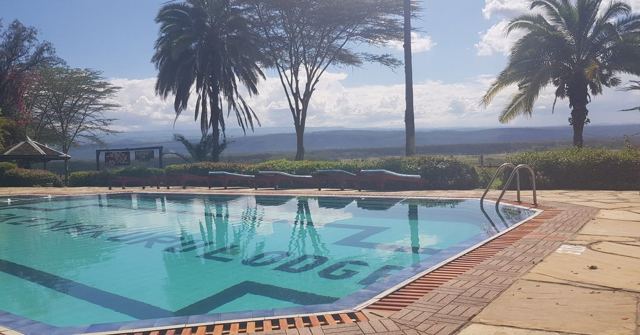A blue swimming pool with palm trees and acacias overlooking a valley.