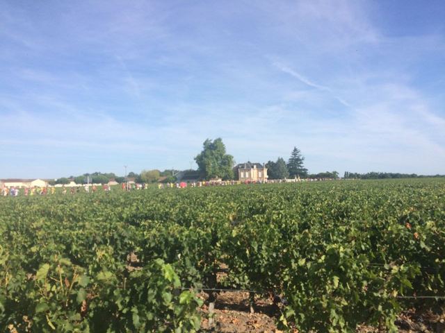 Pauillac, Nouvelle-Aquitaine