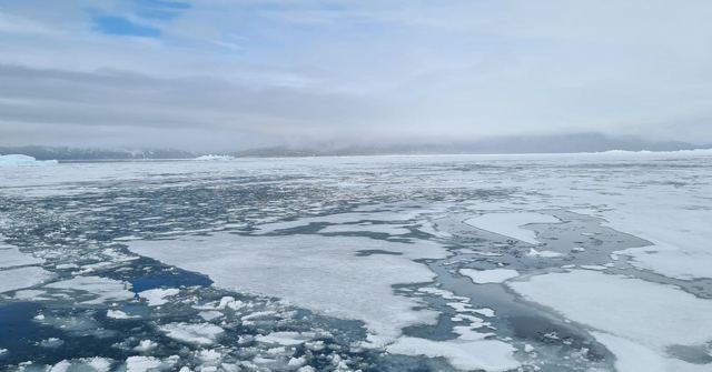 Disko Bay