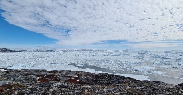 Dark rocks in the foreground overlooking a fjord filled with ice under a streaky sky.