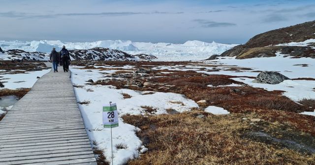 A wooden boardwalk through snowy tundra leading towards a fjord full of icebergs.
