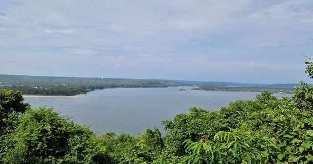 A view over lush green trees down to a wide river estuary under a cloudy sky.