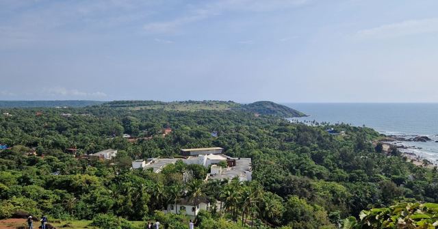Dense green trees and scattered buildings along a coastline meeting the sea.