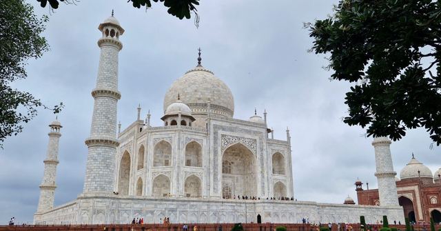 The white marble Taj Mahal and its minarets framed by dark tree branches under a grey sky.