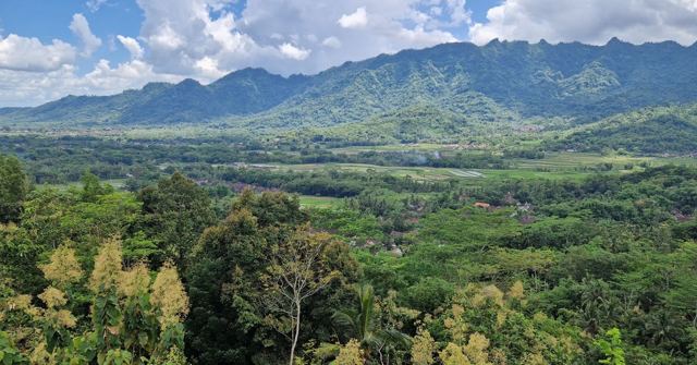 A green forested valley stretching towards a range of mountains under a partly cloudy sky.