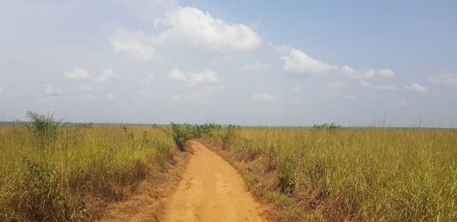 Dusty Roads, Sierra Leone