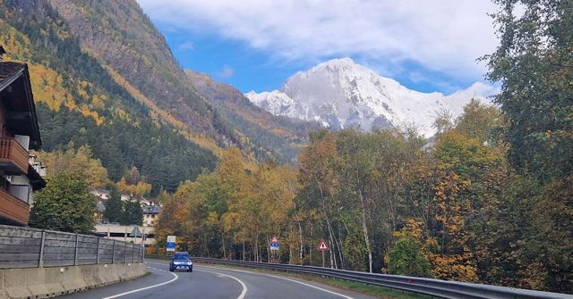 Road winding through autumn trees towards a snow-capped mountain under a blue sky.