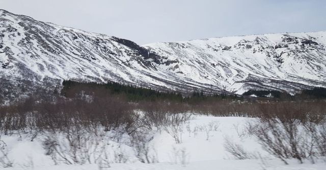 Steep snowy mountain slopes above a valley of bare birch scrub and snow.