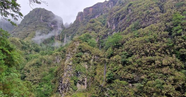 Steep, densely vegetated mountain valley with mist clinging to the ridges.