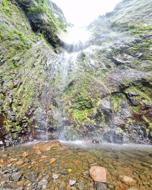 Looking up at a waterfall falling down a moss-covered rock wall into a shallow stony pool.