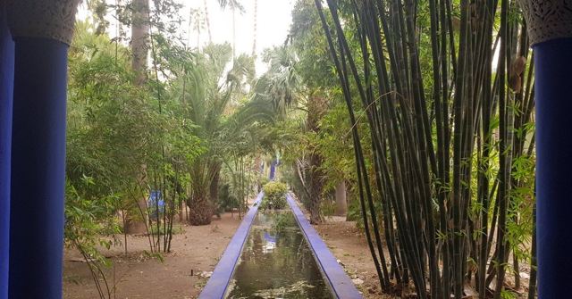 A narrow garden water channel lined with bamboo and palms, framed by a bright blue column.