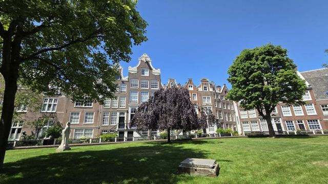 Quiet green courtyard with trees surrounded by tall historic Amsterdam townhouses.