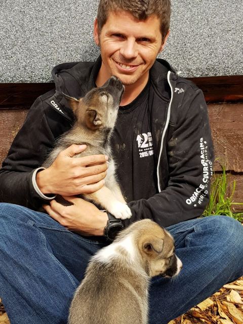 A smiling man sitting on the ground cuddling two fluffy husky puppies.
