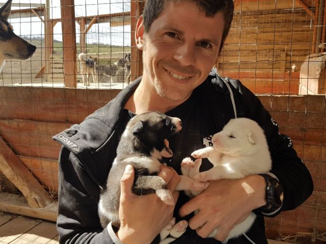 A smiling man holding two husky puppies inside a wooden kennel.