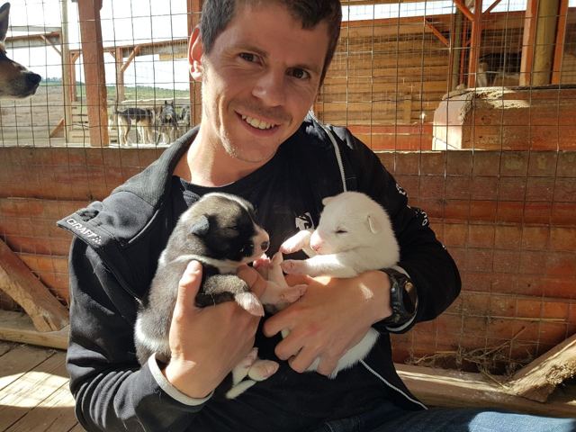 A smiling man holding two fluffy husky puppies in a kennel.
