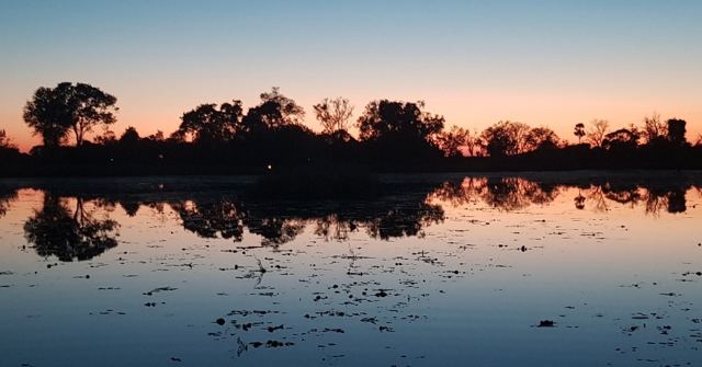 Silhouetted trees reflected in still water under an orange and blue sunset sky.