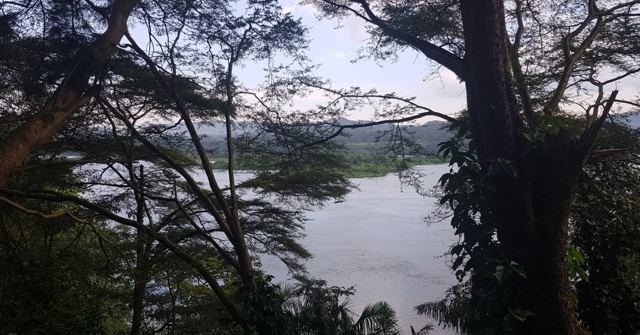A wide calm river framed by dark tree branches.