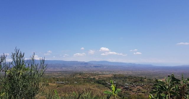 A wide view over green valleys and distant hills with a cactus in the foreground.
