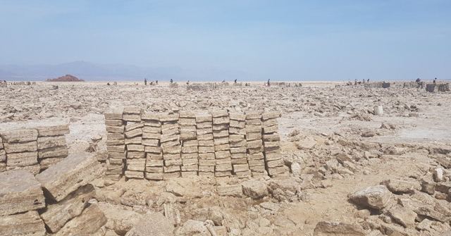 Neat stacks of rectangular salt blocks on a white salt flat.
