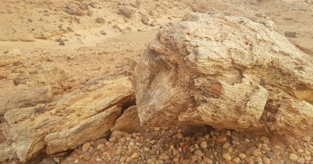 Cracked sandstone rocks on a sandy desert surface.