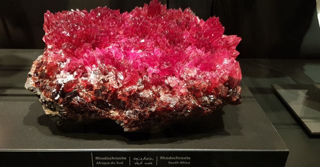 A large cluster of bright pink rhodochrosite crystals displayed in a dark museum case.