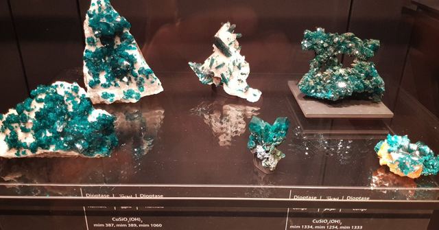 Several vivid green crystal specimens displayed on stands in a dark glass case.