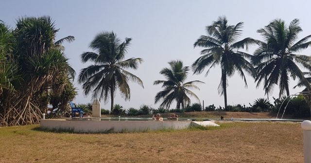 Palm trees by the sea above a grassy area with a low monument.