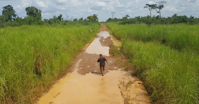 A person walking along a muddy dirt track through tall green grass under a blue sky.