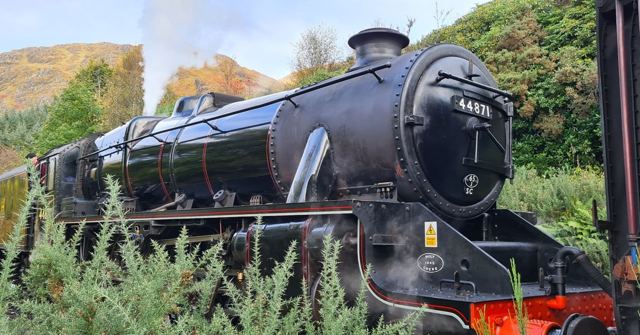 A black steam locomotive puffing smoke beside green bushes and autumn trees.