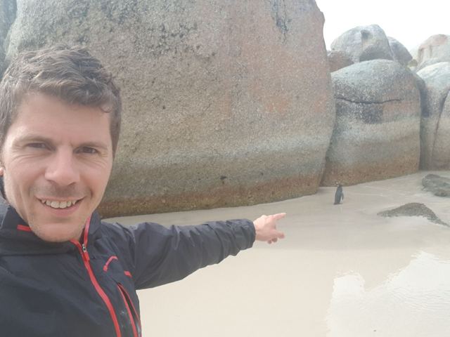A man taking a selfie and pointing at penguins on the sand by large granite boulders.