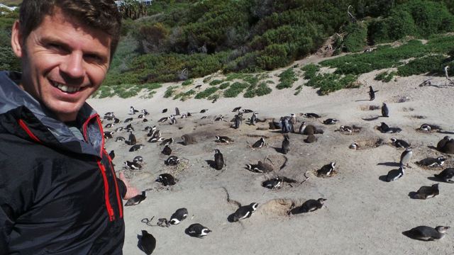 A man taking a selfie above a beach crowded with African penguins.
