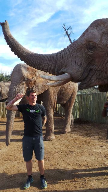 A man posing with his arm raised next to an elephant raising its trunk.