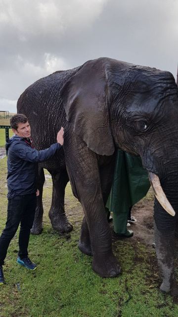 A man resting his hand on a large elephant at Knysna Elephant Park.