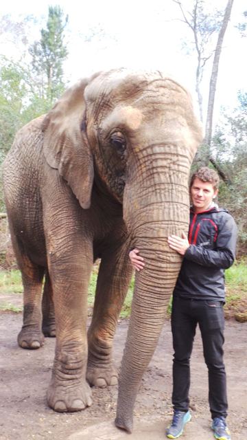 A man holding an elephant's trunk at an elephant sanctuary.