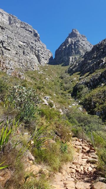Table Mountain (Sudafrica), South Africa