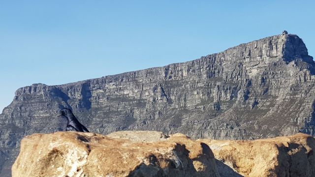 Lions Head Mountain Capetown, South Africa