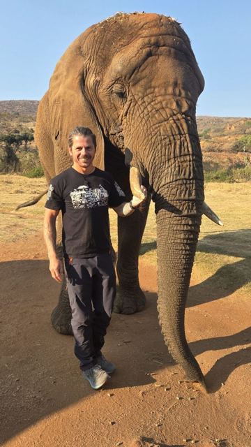 A man standing beside an elephant with tusks in dry bushland.