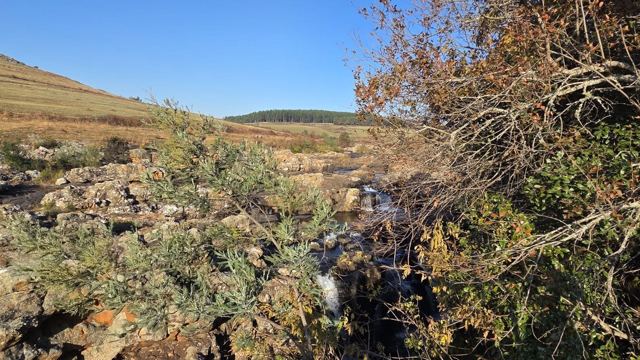 Rocky hillside with a small stream running through dry bushes and shrubs under a blue sky.