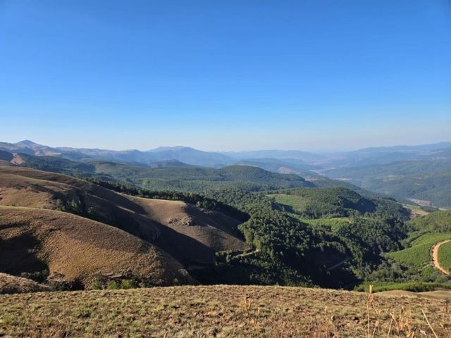 Panoramic view of forested valleys and layered blue mountains under a clear sky.