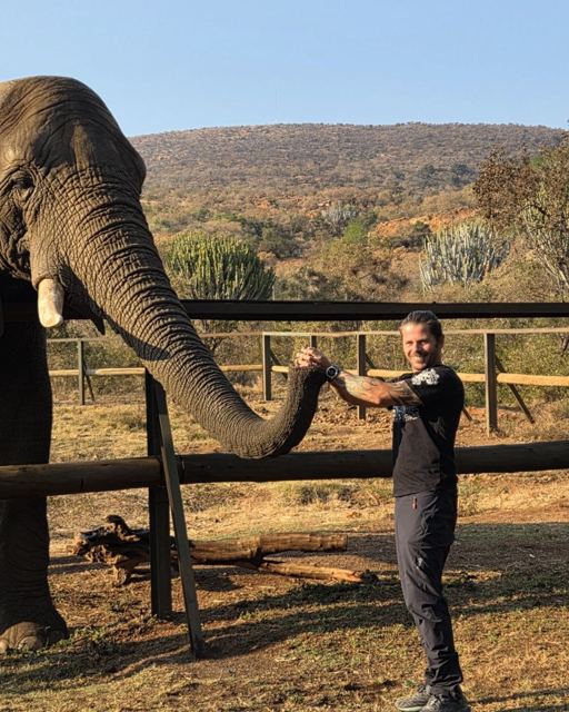 Man in black standing by a wooden fence touching an elephant's trunk with his hand.