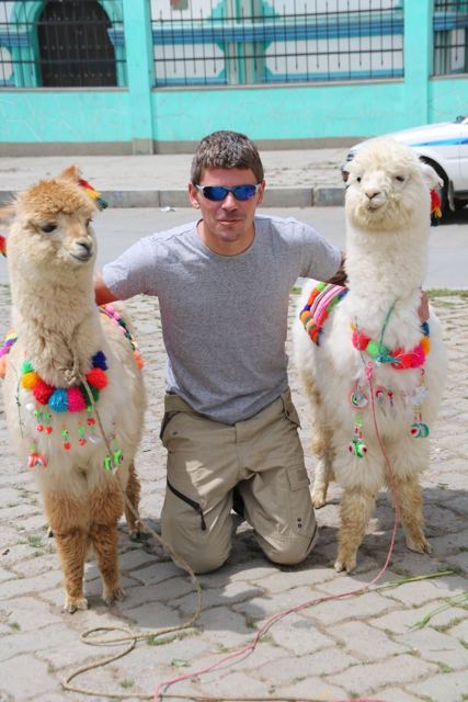 A man kneeling between two white alpacas decorated with colourful tassels on a city street.