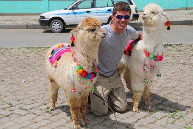 A man crouching between two alpacas with pompom decorations on a street in La Paz.