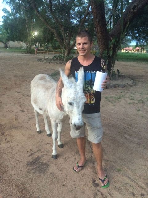 A man holding a cup and standing next to a white donkey under trees.