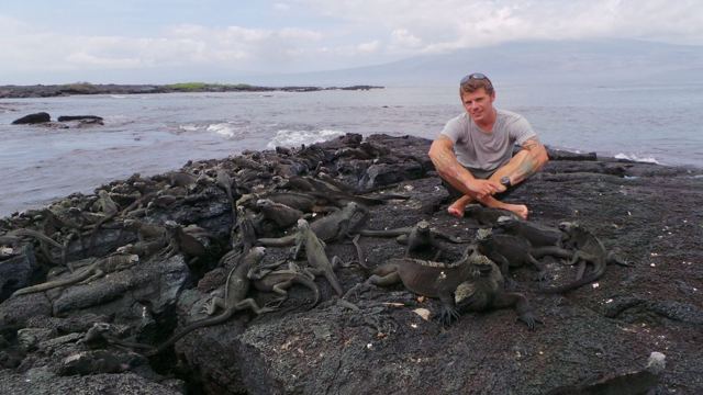 A man sitting on black lava rocks surrounded by dozens of marine iguanas.