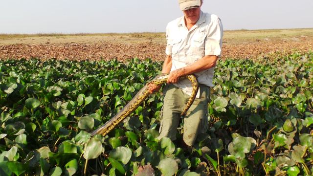 Misión Venezolana de los Llanos Centrales, Venezuela